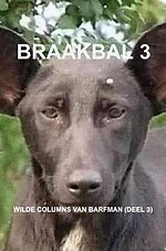 Braakbal 3