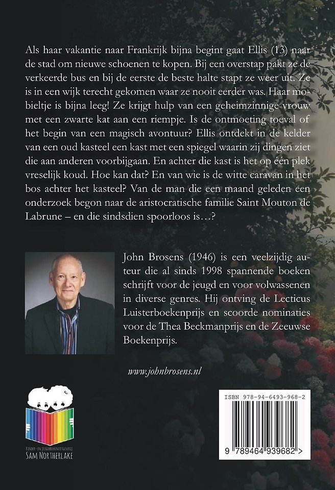 Ellis en de Spiegel van Longatonne