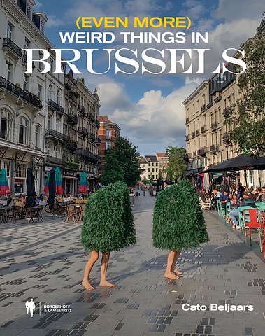 (Even more) weird things in Brussels