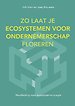 Zo Laat Je Ecosystemen Voor Ondernemerschap Floreren