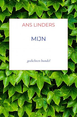 mijn