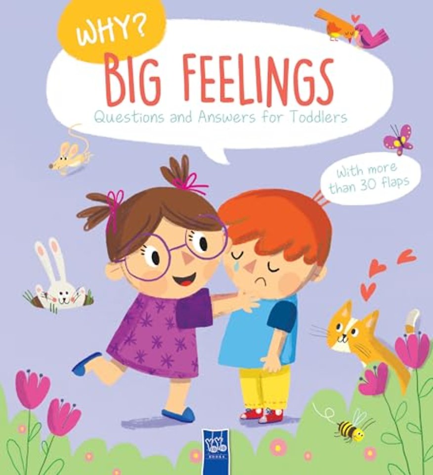 Big Feelings (Why? Questions And Answers For Toddlers)