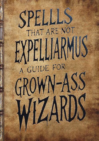 A Guide for Grown-Ass Wizards