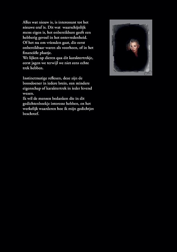 Het realisme