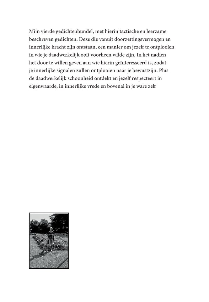 De mysterieuze uil