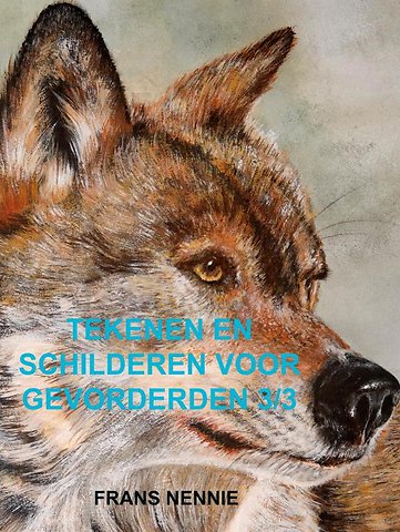 Tekenen en schilderen voor gevorderden 3/3