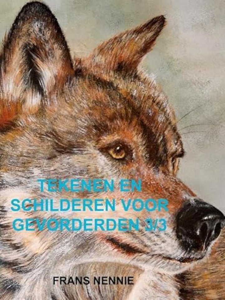 Tekenen en schilderen voor gevorderden 3/3