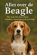 Alles over de Beagle