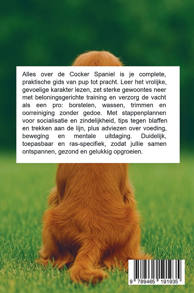 Alles over de Cocker Spaniel