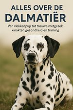 Alles over de Dalmatiër