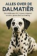 Alles over de Dalmatiër