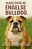 Alles over de Engelse Bulldog