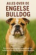 Alles over de Engelse Bulldog