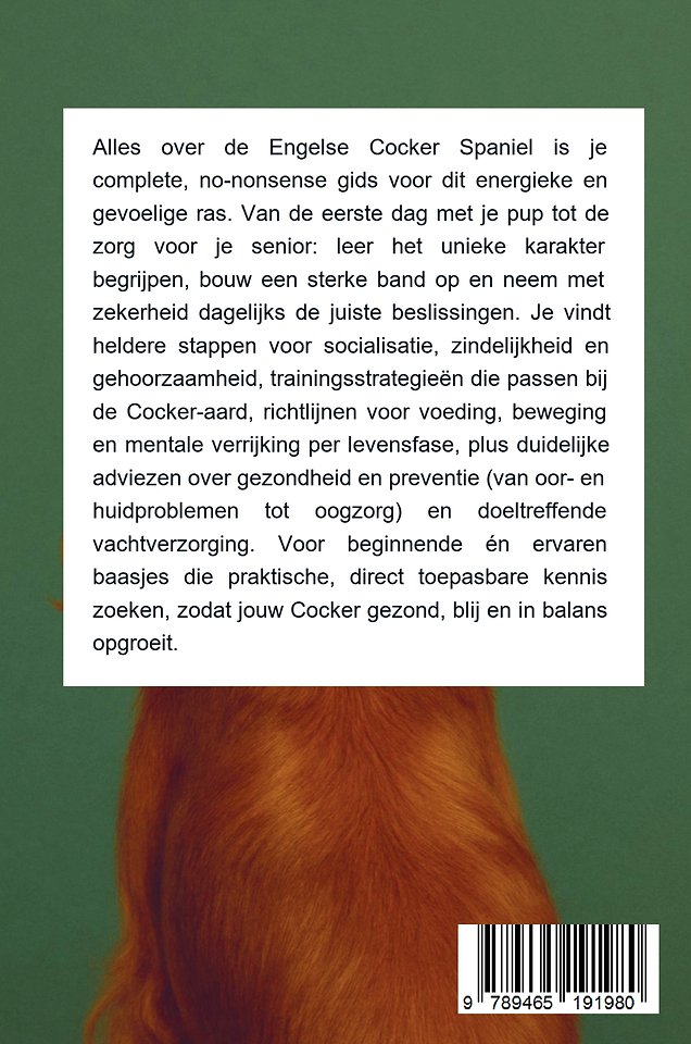 Alles over de Engelse Cocker Spaniel