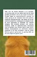 Alles over de Golden Retriever