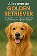 Alles over de Golden Retriever