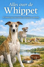 Alles over de Whippet