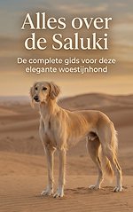 Alles over de Saluki