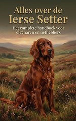 Alles over de Ierse Setter