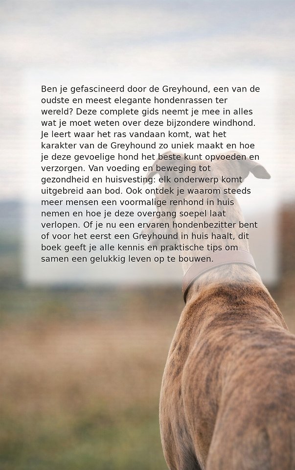 Alles over de Greyhound