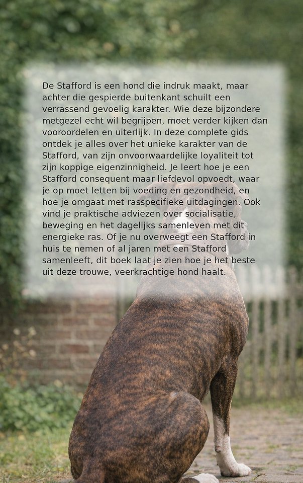 Alles over de Stafford