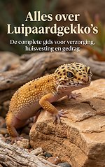 Alles over Luipaardgekko's