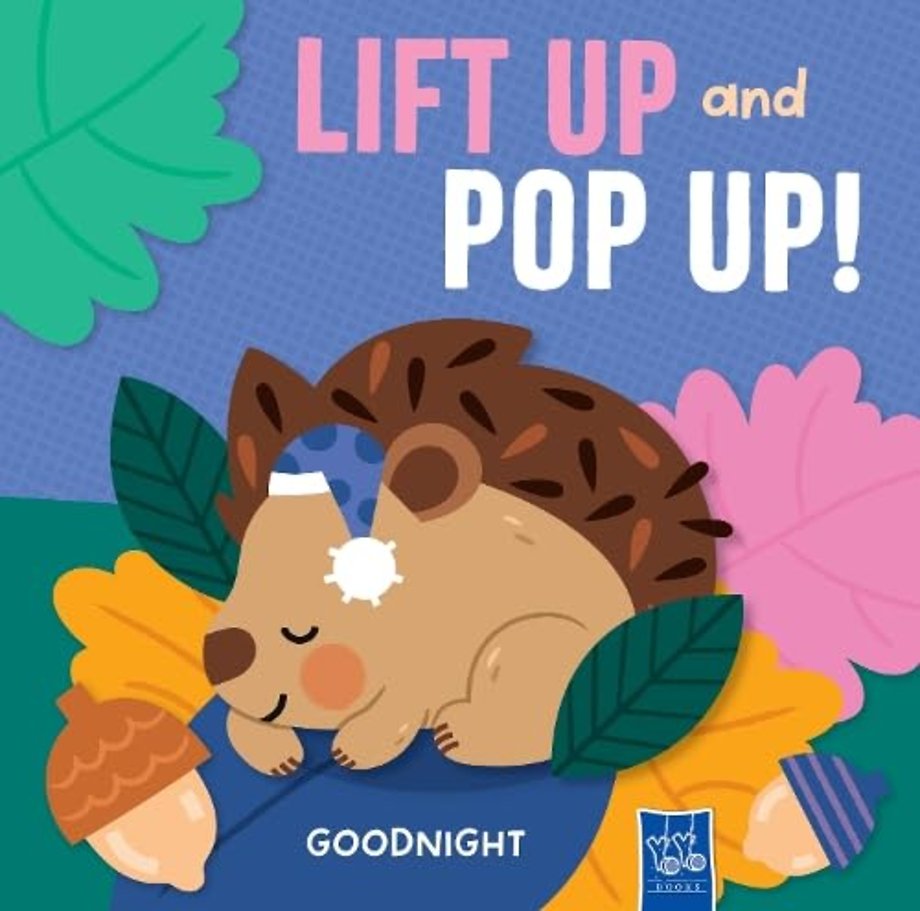 Goodnight (Lift Up and Pop Up)
