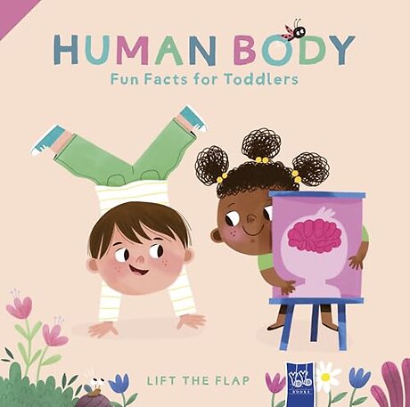 Human Body (Lift the Flap)