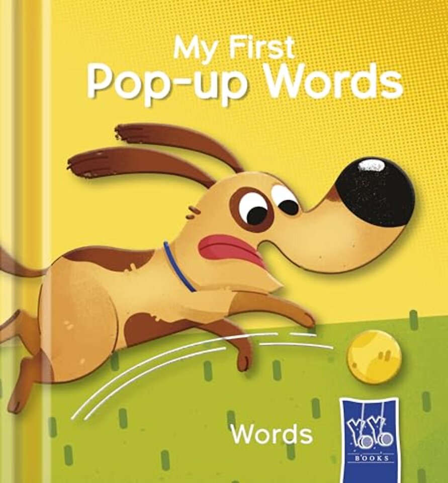 Words (My First Pop-Up Words)