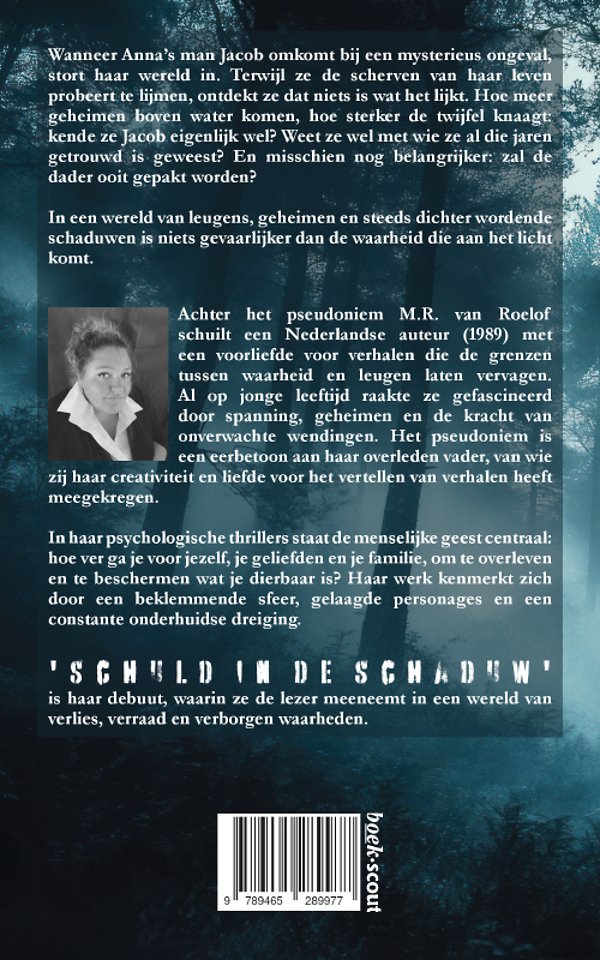 Schuld in de schaduw