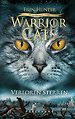 Warrior Cats - De verbroken code Serie 6 - Boek 1 Verloren sterren