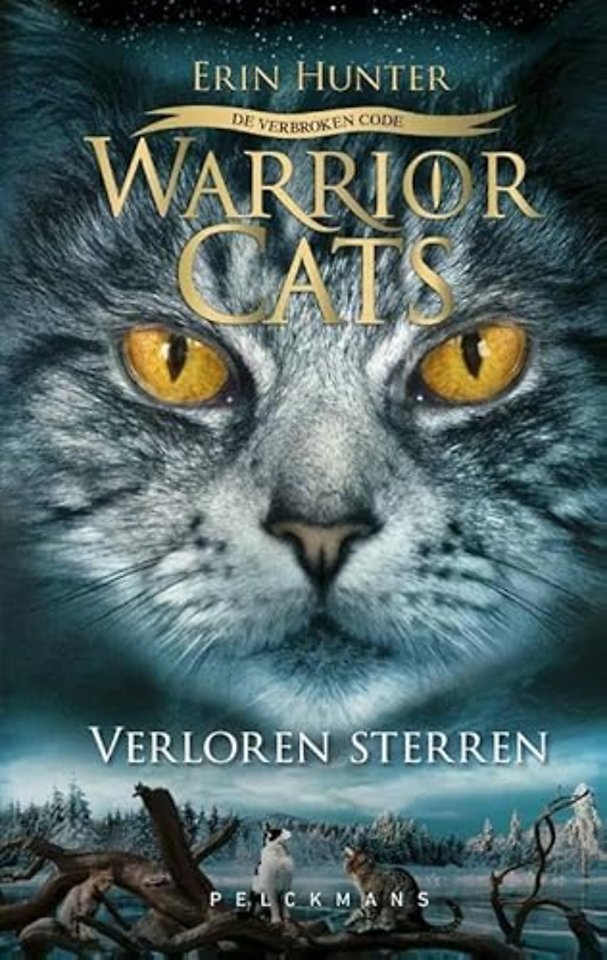 Warrior Cats - De verbroken code Serie 6 - Boek 1 Verloren sterren