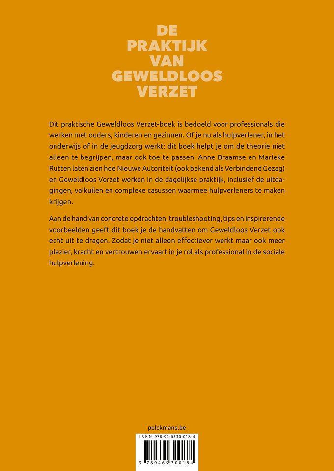 Krachtig Werk: De praktijk van Geweldloos Verzet