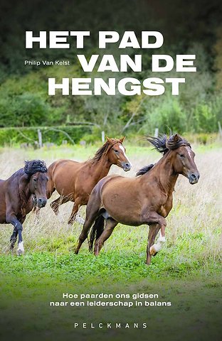 Het pad van de hengst