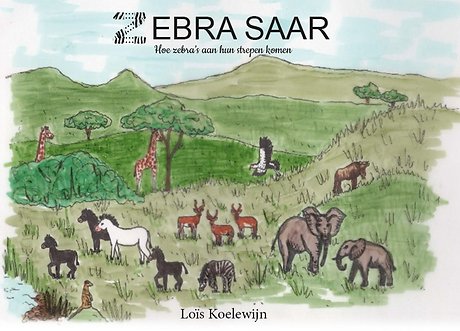 Zebra Saar