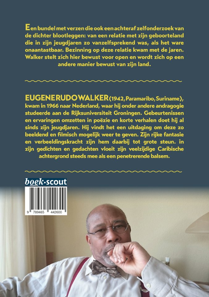 In het schijnsel van de dagbloem