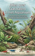 Alles over Garnalen in het Aquarium