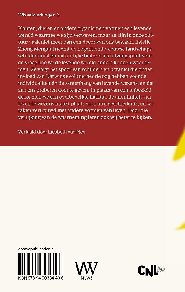 Leren kijken