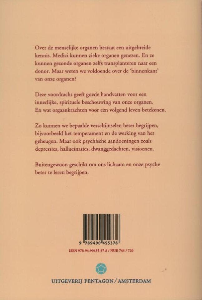 De organen innerlijk gezien