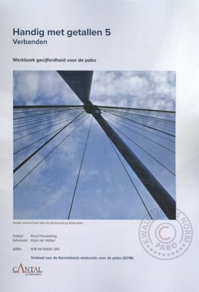 Handig met getallen 5 verbanden gecijferdheid voor de pabo Werkboek