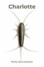 Charlotte Charlotte