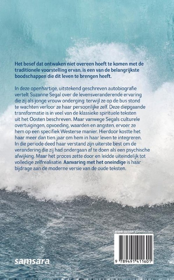 Aanvaring met het oneindige