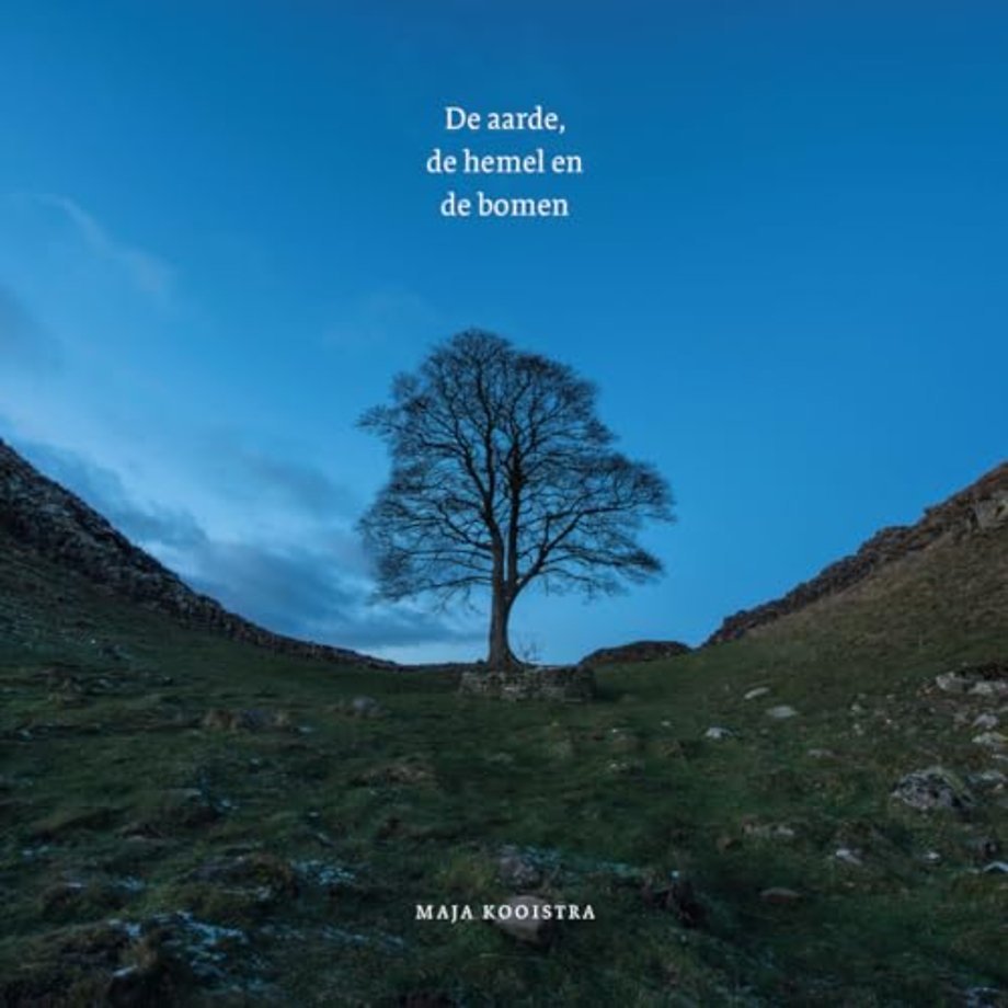 De aarde, de hemel en de bomen