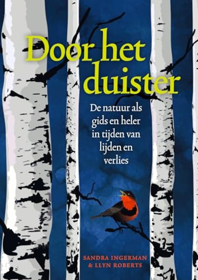 Door het duister