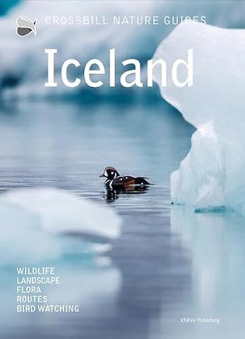 Crossbill Nature Guide Iceland