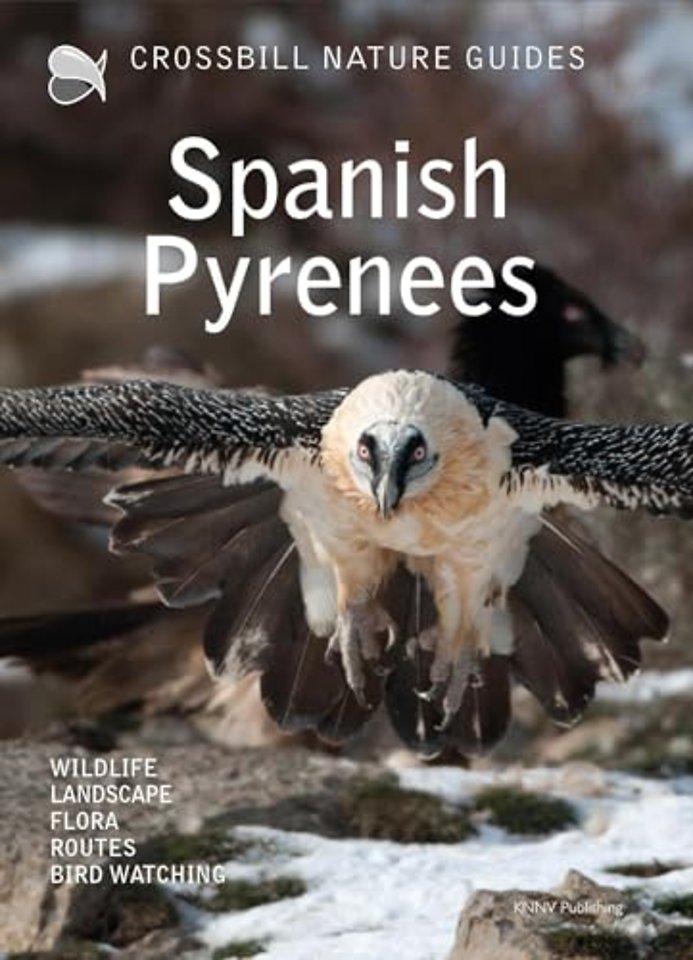 Crossbill Nature Guide Spanish Pyrenees