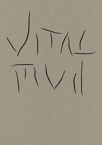Vital Mud