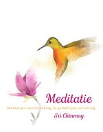 Meditatie