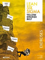 Lean Six Sigma Yellow & Orange Belt