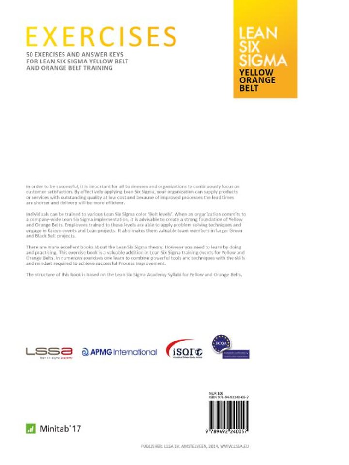 Lean Six Sigma Yellow & Orange Belt
